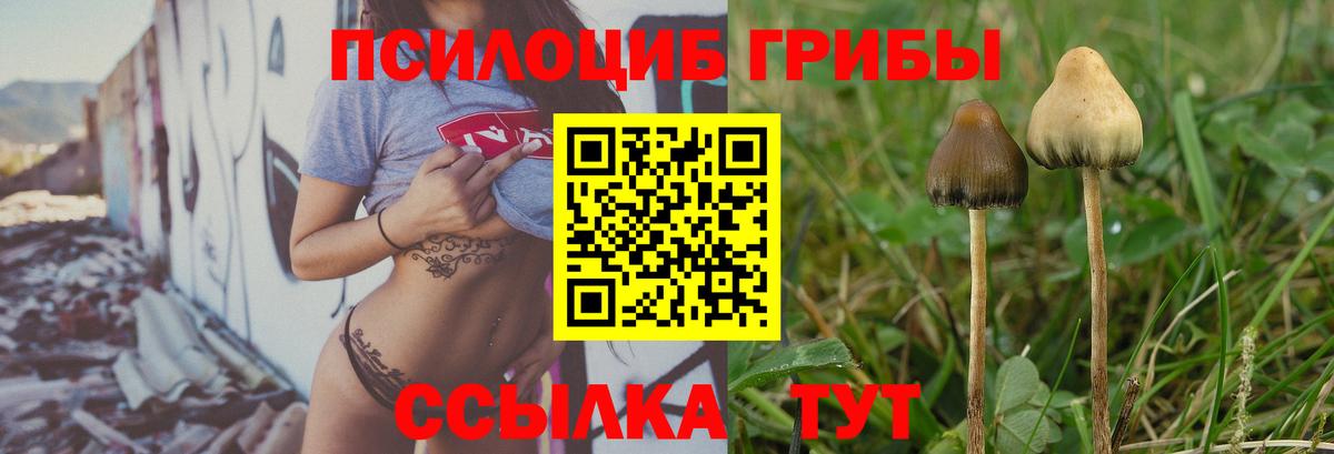 Галлюциногенные грибы MAGIC MUSHROOMS Омск